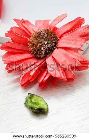 Top view of red dry flower petal, and white picture frame for your text for a love Valentine`s day on wooden background. Flat lay.