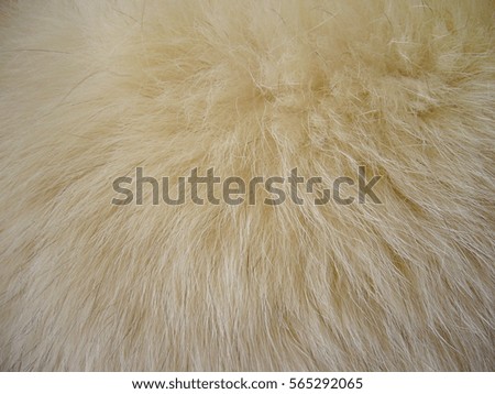 fur texture, light fur, fox