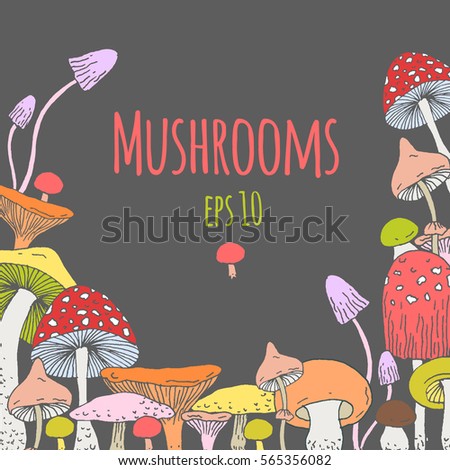 Set of decorative Forest mushrooms - vector hand drawn sketch. Collection of different mushrooms with roots, real edible and poisonous boletus.  Decorative frame design made with clipping mask