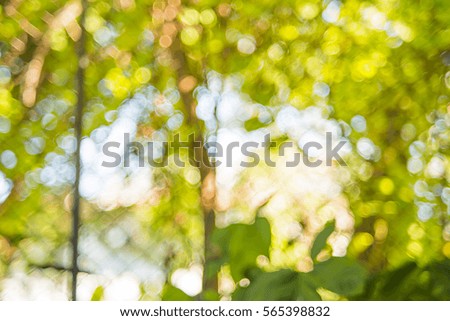 Nature abstract green bokeh background