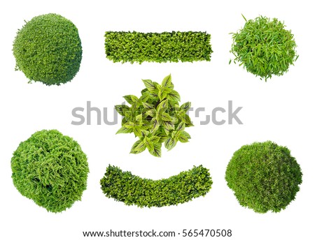 set of plants in top view isolated on white background for garden and landscape architecture Royalty-Free Stock Photo #565470508
