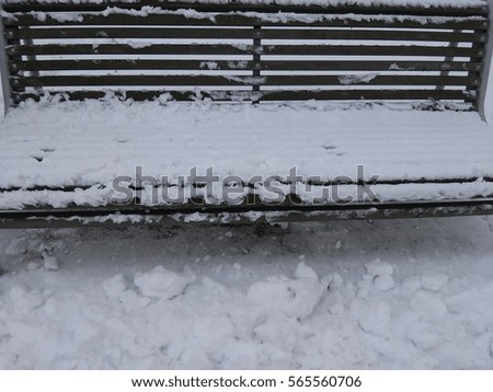 The bench covered with snow