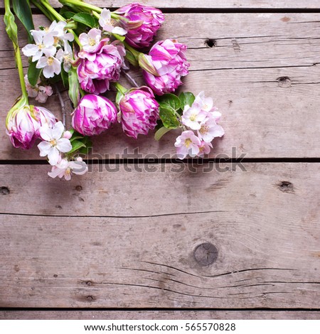  Spring tulips and apple tree flowers on aged wooden  background. Selective focus. Place for text. Flat lay still life.  Square image.
