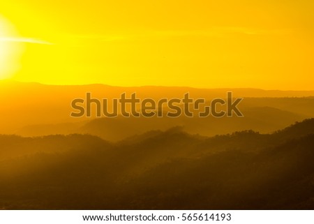 Horizontal abstract banners of hills of coniferous wood in dark green tone with copy space for texting. Pine forest and mountains backgrounds. Panorama taiga silhouette row of mountains.