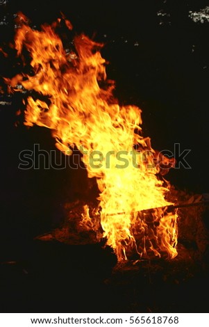 Firewood flames, pine nose leaves,strong flames, flickering flames, flame background, At Mitsuan, Hanyu City, Saitama, Japan,
