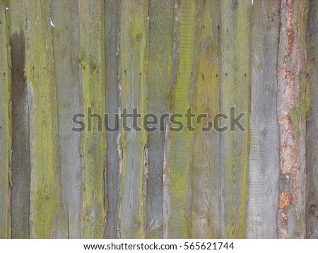 Detail of wooden fence, several boards, knots and nails