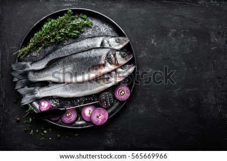 sea bass fish Royalty-Free Stock Photo #565669966