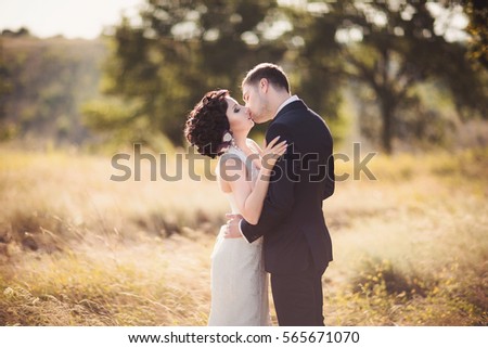 Toned wedding portrait, bride and groom kissing.