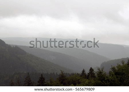 mountains shrouded in mist