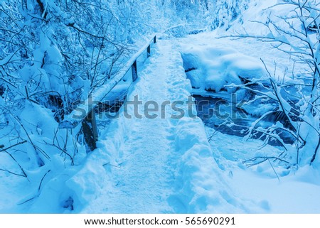snowy bridge over a mountain stream in the High Vens region of Belgium