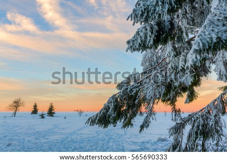 sunset picture in the snowy landscape of the High Vens, Belgium