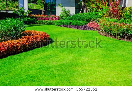 Front yard, landscape design With multicolored shrubs intersecting with bright green lawns Behind the house is a modern, garden care service, green grass with a beautiful yard for the background. Royalty-Free Stock Photo #565722352