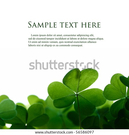 Green clover leafs border with space for text.