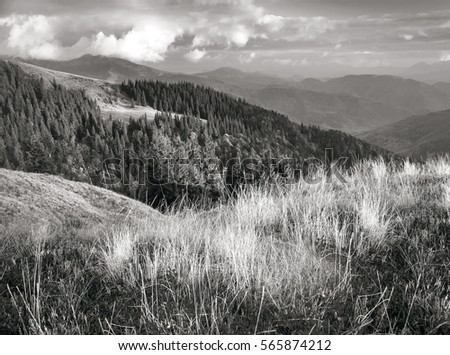 In the Carpathians,  black and white autumn cold often turns into snow, and then again come warm sunny days. Against the background of high mountain ranges and beautiful beech forests scenic