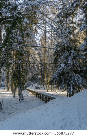     Small bridge in snowy winter forest 