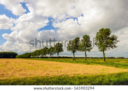 Colorful agricultural landscape in a Dutch polder with drying hay and a row of trees in the background. It is a cloudy day in the summer season.