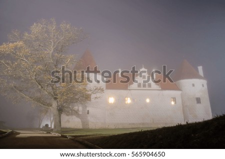 Palace and foggy night