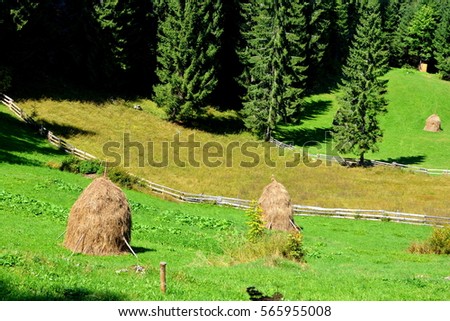 Landscape in Apuseni Mountains, Transylvania, which belongs to the Western Romanian Carpathians, also called Occidentali in Romanian. The Apuseni Mountains have about 400 caves.
