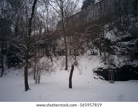 Park outdoor. Winter countryside. Nature. Winter mood. Winter weather. Snowy weather. Snow in Prague. Cold theme.