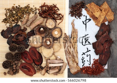 Chinese herbal medicine selection and calligraphy script on rice paper. Translation reads as chinese herbal medicine.