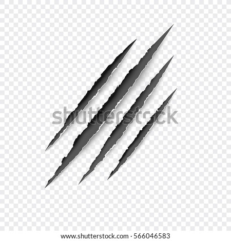 Claws scratches - vector isolated on transparent background. Claws scratching animal (cat, tiger, lion, bear) illustration.  Royalty-Free Stock Photo #566046583