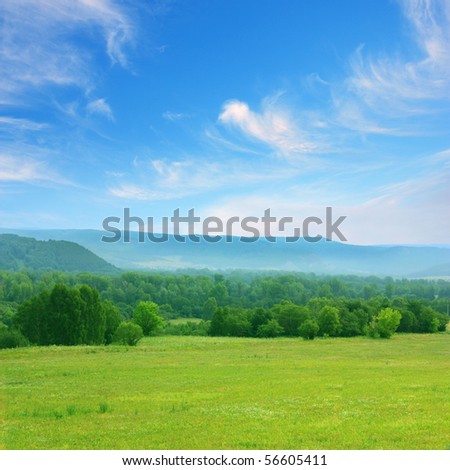summer landscape