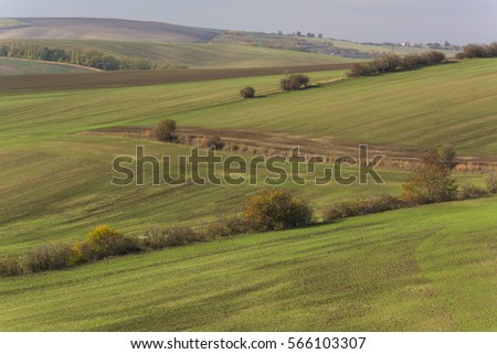 Abstract moravian fields
