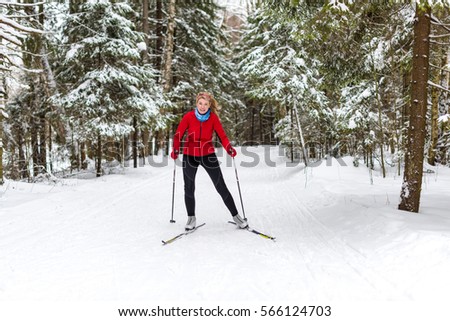 Cross country skiing woman in trail tracks in snow covered forest Winter landscape