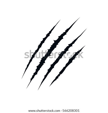 Traces of claw scratches. Isolated on white background. Vector illustration, eps 10.
 Royalty-Free Stock Photo #566208301