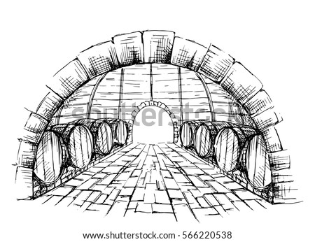 Wine cellar with barrels in graphic style hand-drawn vector illustration
