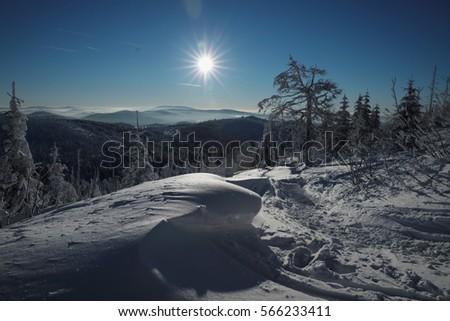 Winter landscape with blue sky. Snail icing on trees. Beautiful winter landscape.