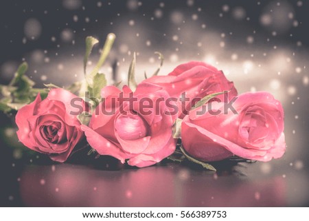 Abstract rose with snow on plain background