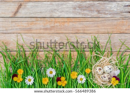 Happy Easter background with green spring grass with colorful flower blossoms, easter eggs and nest over wood.