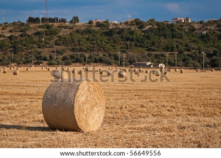 Sunny country with hay roll