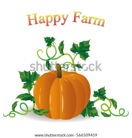 Pumpkin vector clip art