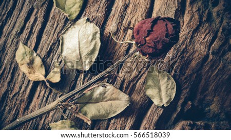 Wilted roses over abstract dark on old wooden background, Floral red border with dried out flowers, Retro vintage style photo, Death concept.