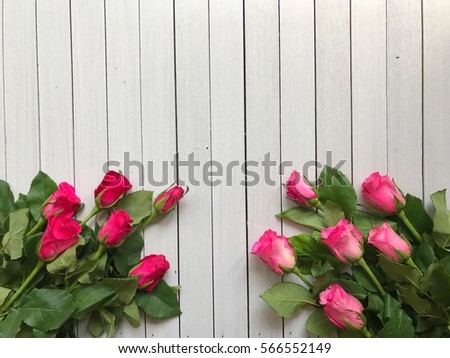 Pink roses put on the white wooden background, top  view, close up