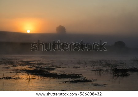 Summer foggy sunrise