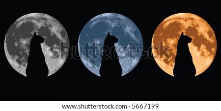 Cat silhouetted against a full moon.