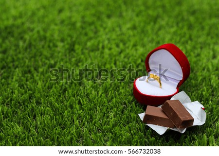 Chocolate and ring white yard background