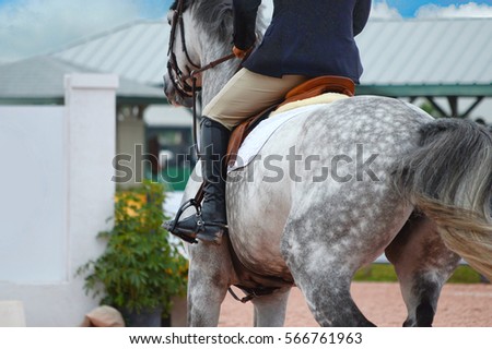 Dappled grey horse with rider galloping towards a jump in a competitive equestrian event Royalty-Free Stock Photo #566761963