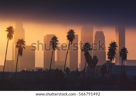 Downtown Los Angeles skyline in foggy morning sunlight. Palm tree in front, skyscrapers in background. Background image. California theme.