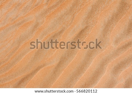 Dubai, United Arab Emirates (UAE). Desert Rub' al Khali - Empty Quarter. The picture wind on the sand