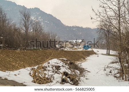 mountain landscapes with trees and snow