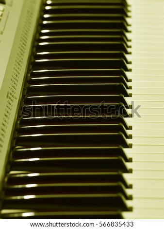 Black and white keys of keyboard. Monochrome vintage appearance.