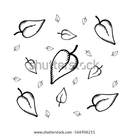 Leaves. Vector illustration of autumn leaves. Hand drawn falling leaves.