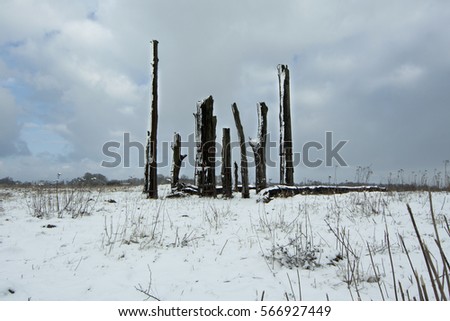 abstract snow landscape with grass, horizontal, white, wooden element design art, vertical object in centre of the picture,