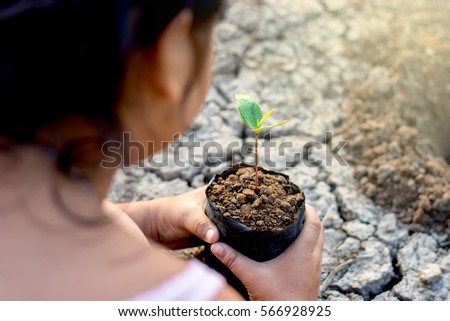 Photo on the back of the girl to plant the seedlings into the soil, ecology concept.