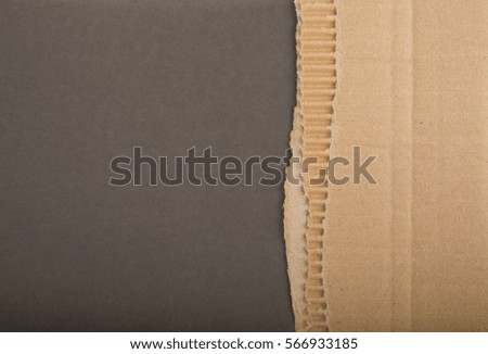 corrugated cardboard torn edges. a piece of cardboard black background