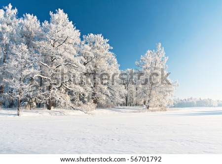 Winter park in snow Royalty-Free Stock Photo #56701792